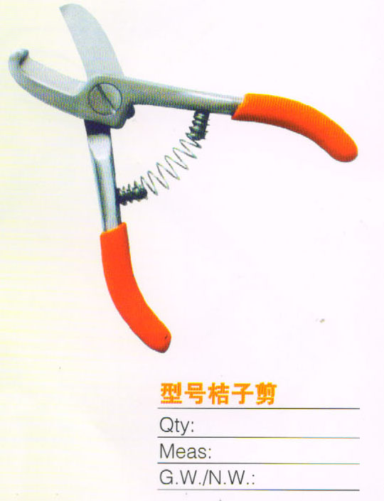 Ŵ